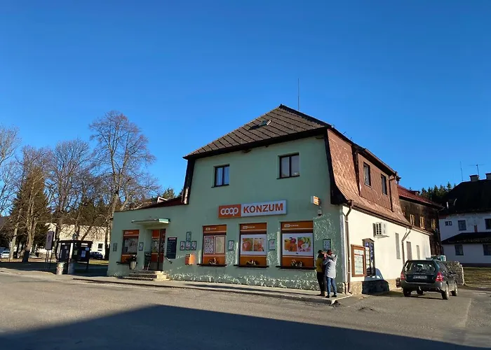 U Lesa, 119 Srní