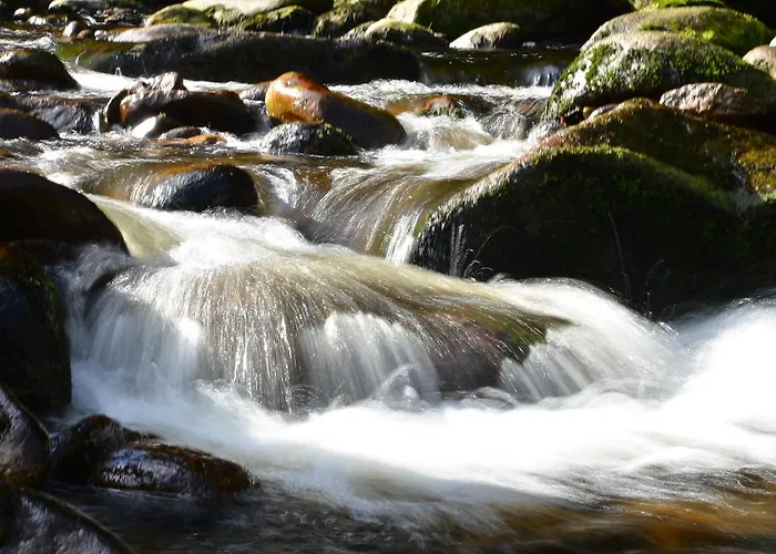 Apartmán U Lesa, 119