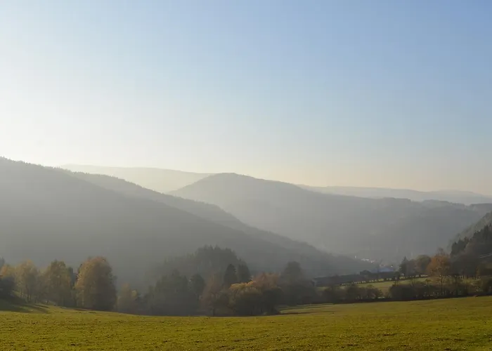 U Lesa, 119 Apartmán