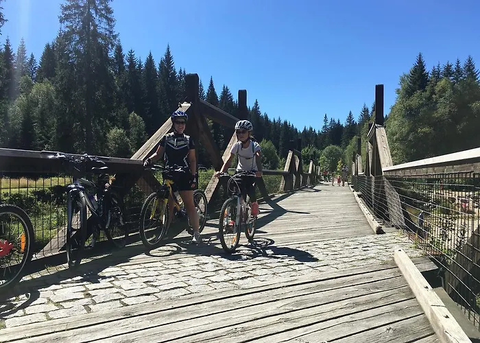 Apartmán U Lesa, 119 *