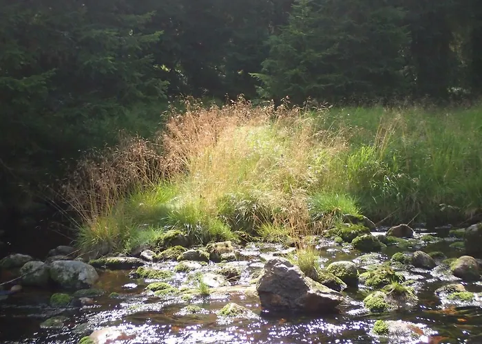 U Lesa, 119 Apartmán